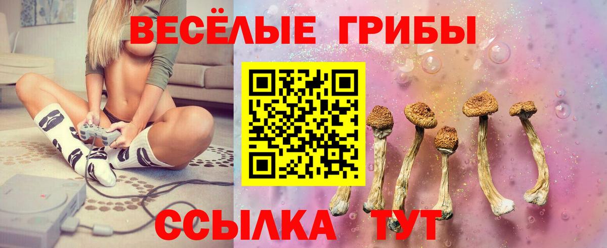 Галлюциногенные грибы мухоморы Сатка